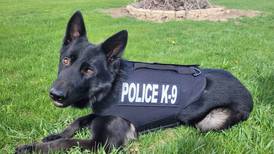 Rock Falls’ Fahgo awarded ‘Healthcare for K9 Heroes’ grant