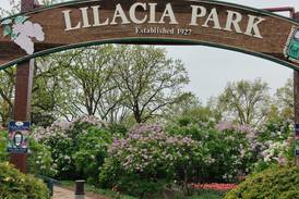 Springtime festivals celebrate music, art, history in northern Illinois