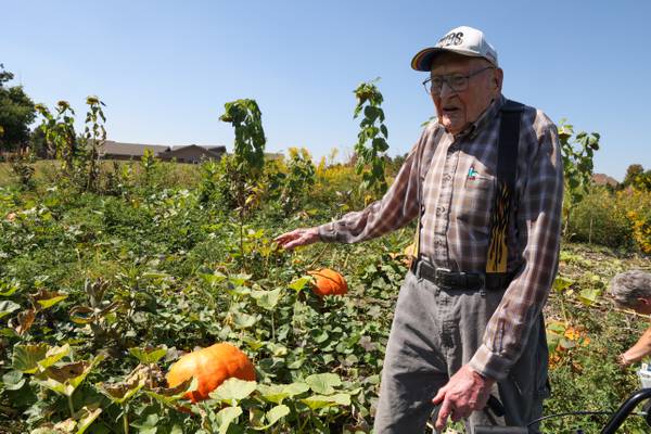 Retired farmer’s pumpkins bolster senior garden club