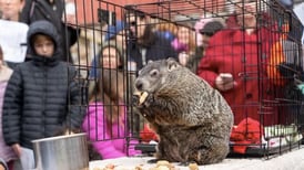 Groundhog competition: Randall Oaks Zoo brings out Cedar the groundhog for weather predictions