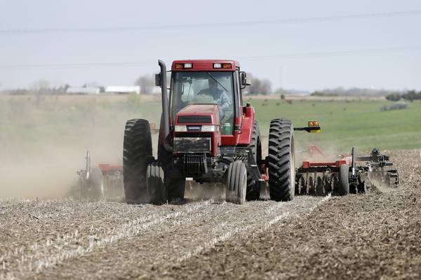 Farmers expect less corn, more soybean acres