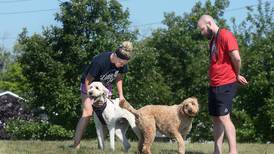 Dog-friendly destinations dot Starved Rock Country