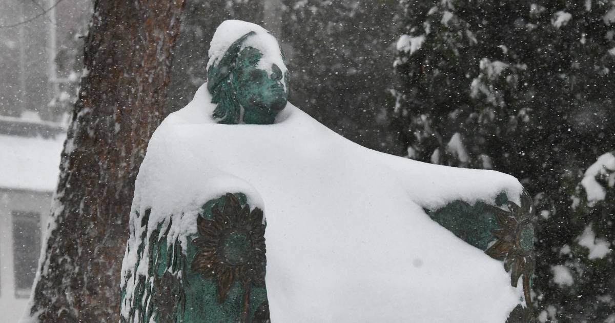 Winter storm drops up to 12 inches across northern Illinois: Here are the snow totals