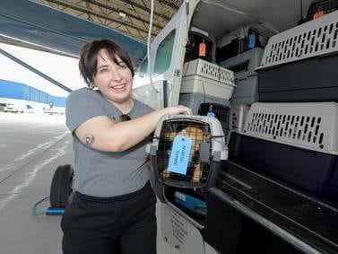 Kane County humane group takes in pets from Texas after catastrophic floods 