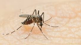 2nd batch of McHenry County mosquitoes tests positive for West Nile virus