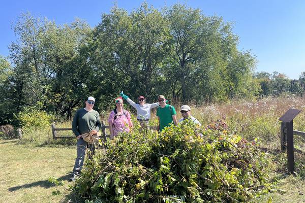 ‘Living museum’: New generation of volunteers aims to restore rare, ancient prairies in Cary 