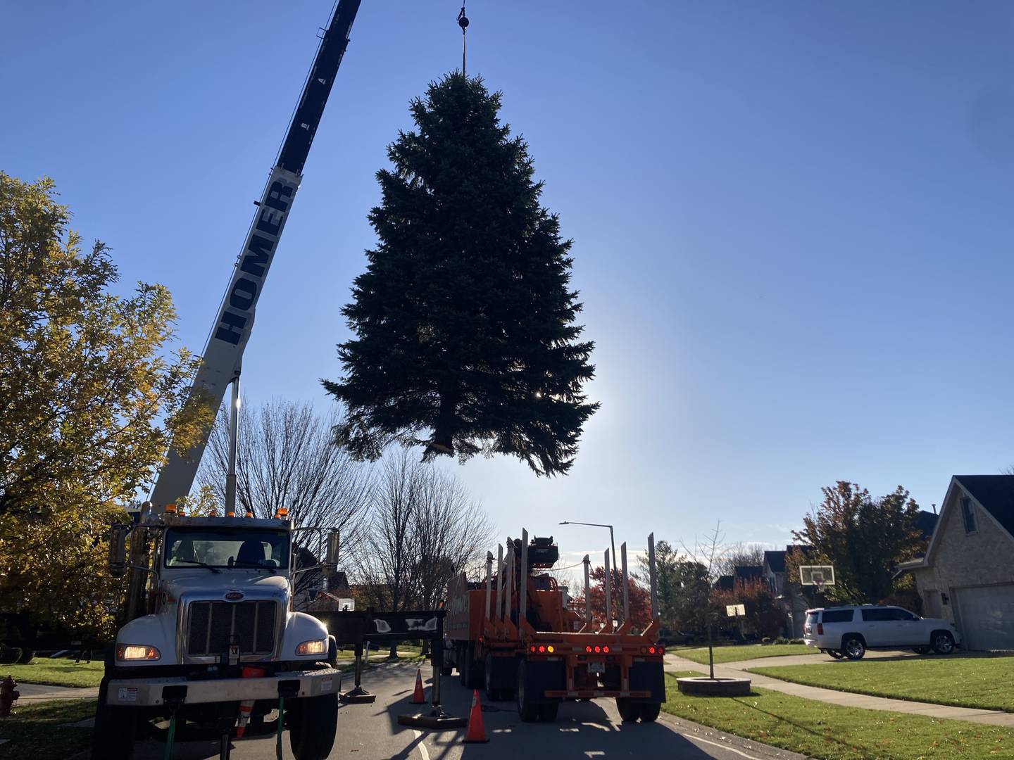 A crane hoists a 40-foot Colorado spruce tree onto a truck from the yard of the Carter family in Plainfield on Nov. 9, 2023.  The tree will be put up in VanBuren Square as the city of Joliet's official Christmas tree.