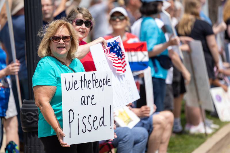 Protesters attend the “no kings” protest on Saturday, June 14, 2025 at Rotary Park in Princeton.