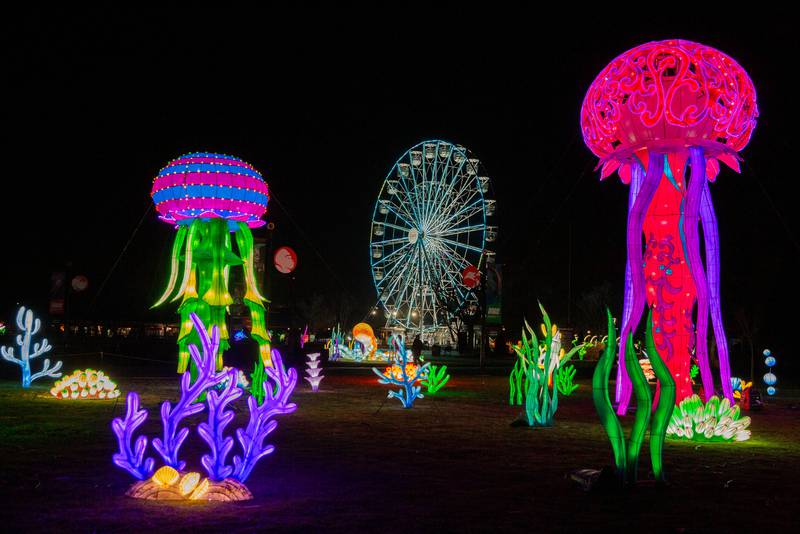Glow Wild, Chicagoland's first-of-its-kind lantern festival, continues to light up Brookfield Zoo Chicago with larger-than-life displays inspired by wildlife, culture and conservation.