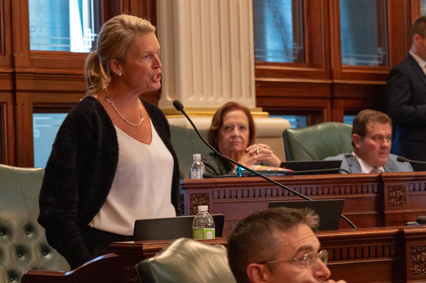 House Minority Leader Tony McCombie, R-Savanna, speaks during debate on a bill that would allow legislative staff to unionize.