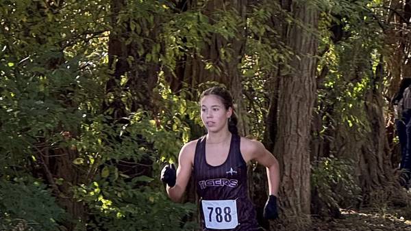 Herald-News Girls Cross Country Runner of the Year: Plainfield North’s Marlie Czarniewski