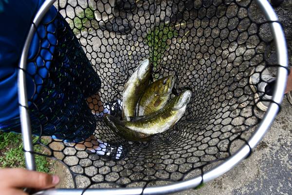 Kankakee River Fishing Derby begins Friday