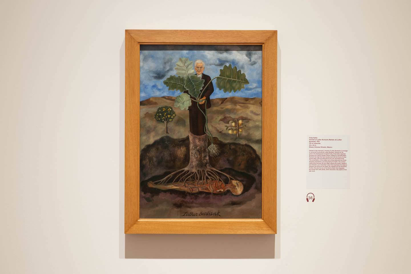 Portrait of Luther Burbank by Frida Kahlo