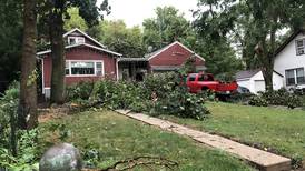 Storms lead to widespread power outages across northern Illinois