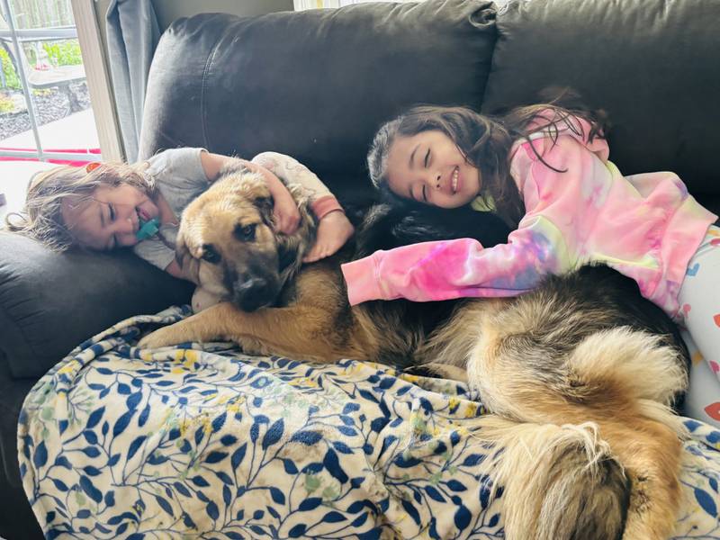 Rachel and Ryan Evan's daughters Adeline, 2, and Claire 6, snuggle with Lucy, 1, a shepherd mix, the youngest of the Evans' family's four pets. All four pets died as a result of a fire at the family's home on Labor Day.