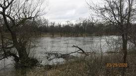 Lombard couple swims to safety after canoe tips in Des Plaines River