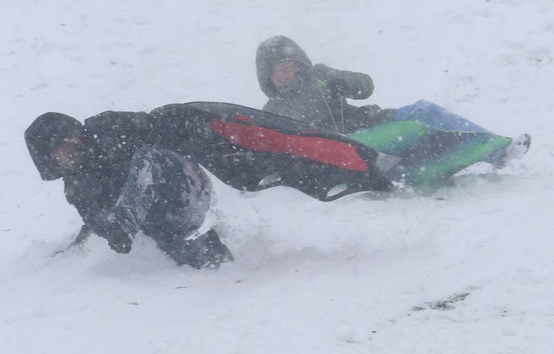 Braydin Tieman and his sister Myah fall off their sleds while sleigh riding on Saturday, Nov. 29, 2025 at McKinley Park in Peru.