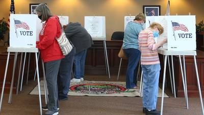 Voters to settle 9 contests on La Salle County Board