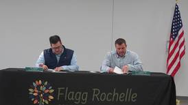 Rochelle park district board approves purchase of new mower