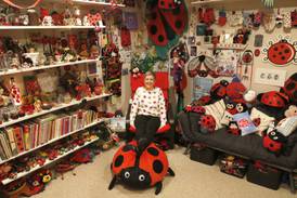 Ladybug Lady uses prestige of Guinness World Record collection to support domestic violence shelter