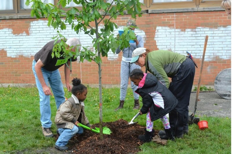 1,000-plus trees to be planted for Morton Arboretum’s centennial