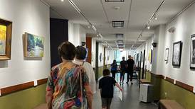 Sterling’s Woodlawn Arts Academy opens 17th annual juried art exhibit Aug. 22