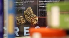 Cannabis dispensary approved in Sycamore; chances for state permit ‘very high’ owner says