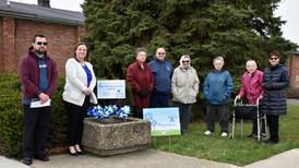 Pinwheels placed in Polo to raise awareness during Child Abuse Prevention Month