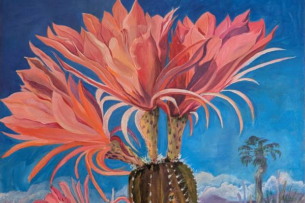 Sterling’s Woodlawn Arts Academy names juried art exhibit winners