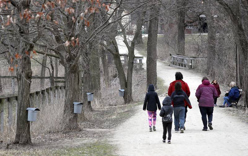 People head to the maple sugaring event at Kline Creek Farm Saturday March 11, 2023 in West Chicago.