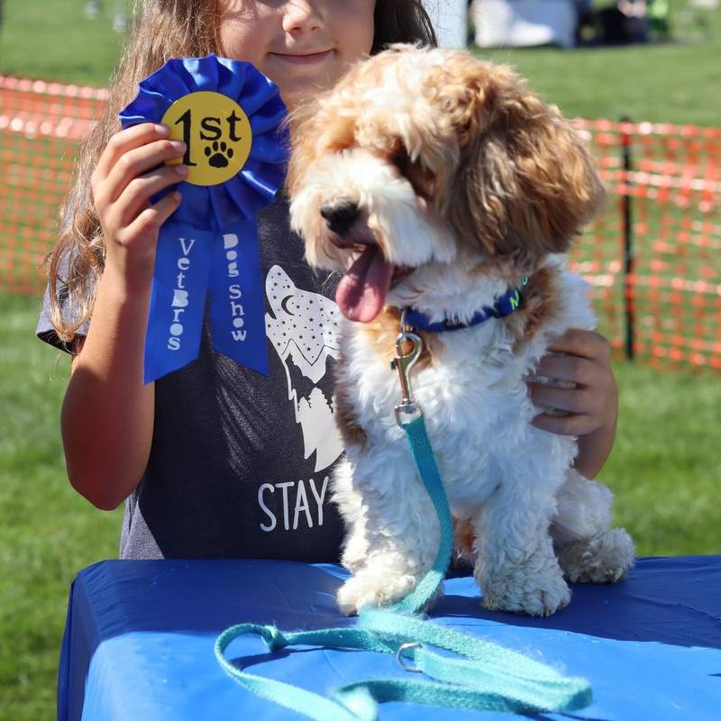 Carol Stream will celebrate two charity events on Sunday, Aug. 4, 2024—the Carol Stream Foundation 5K Run/Walk at 8:30 a.m. followed by the seventh annual VetBros Charity Dog Show at 10 a.m.