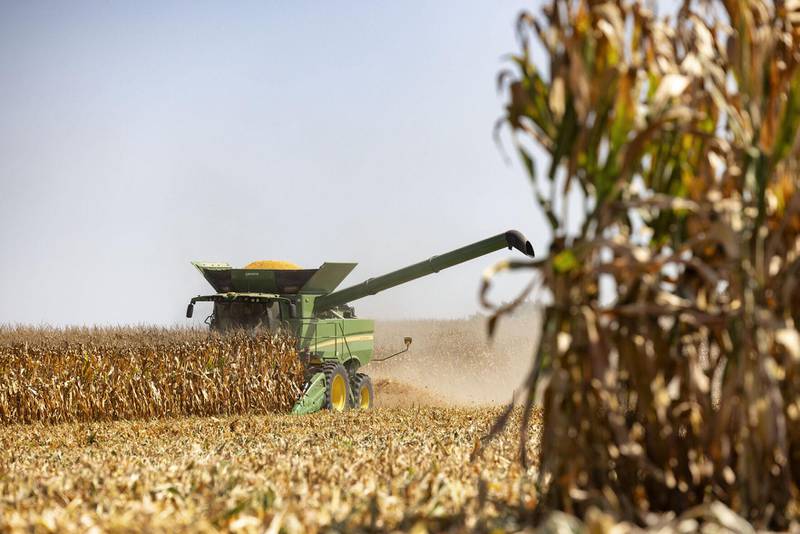 Corn harvest progresses in Mason County on an unseasonably warm September day.