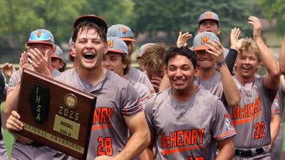 Photos: McHenry vs. Barrington, Class 4A McHenry Sectional Championship baseball