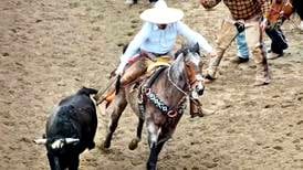 Northern Illinois counties struggle to regulate Mexican-style rodeos, steer-tailing events in their area