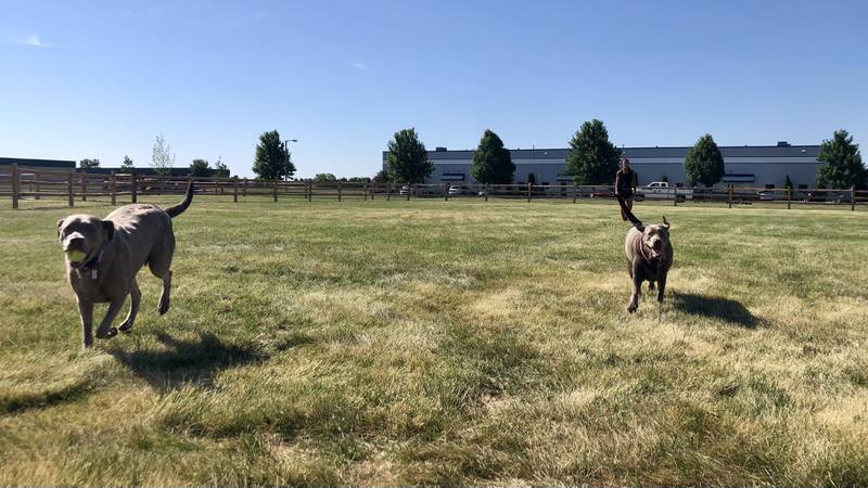 Denise Parlier with her dogs, Aggie and Bella, at the nearly complete Happy Tails Dog Park located on the Public Works Facility property at 100 Theodore Drive.