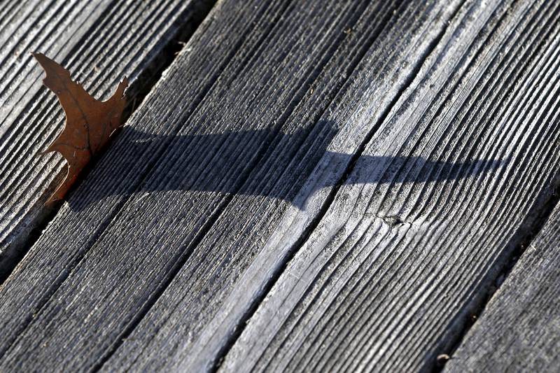 An oak leaf in a crack cast its shadow on the observation deck at the McHenry County Conservation District's Elizabeth Lake Nature Preserve Varga Archeological Site on Wednesday, March 6, 2024, The wetland area near Richmond along the Wisconsin Board is  composed of every stage of wetland. The area also a habitat for 29 species of native fish, 200 species of plant life, 55 species of birds, 15-20 butterfly species, and 20 state threatened and endangered species