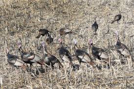 Measure led by State Sen. Joyce that expands hunting permits to landowners signed into law