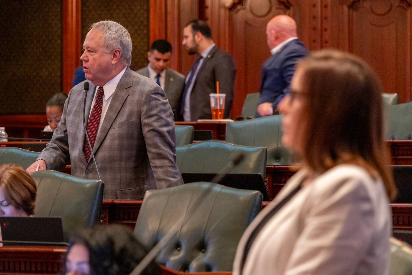 Rep. Jay Hoffman, D-Swansea, argues in favor of a bill sponsored by Rep. Ann Williams, D-Chicago, after introducing a competing bill earlier this year.