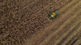 Economist: Significant surprises in USDA crop report