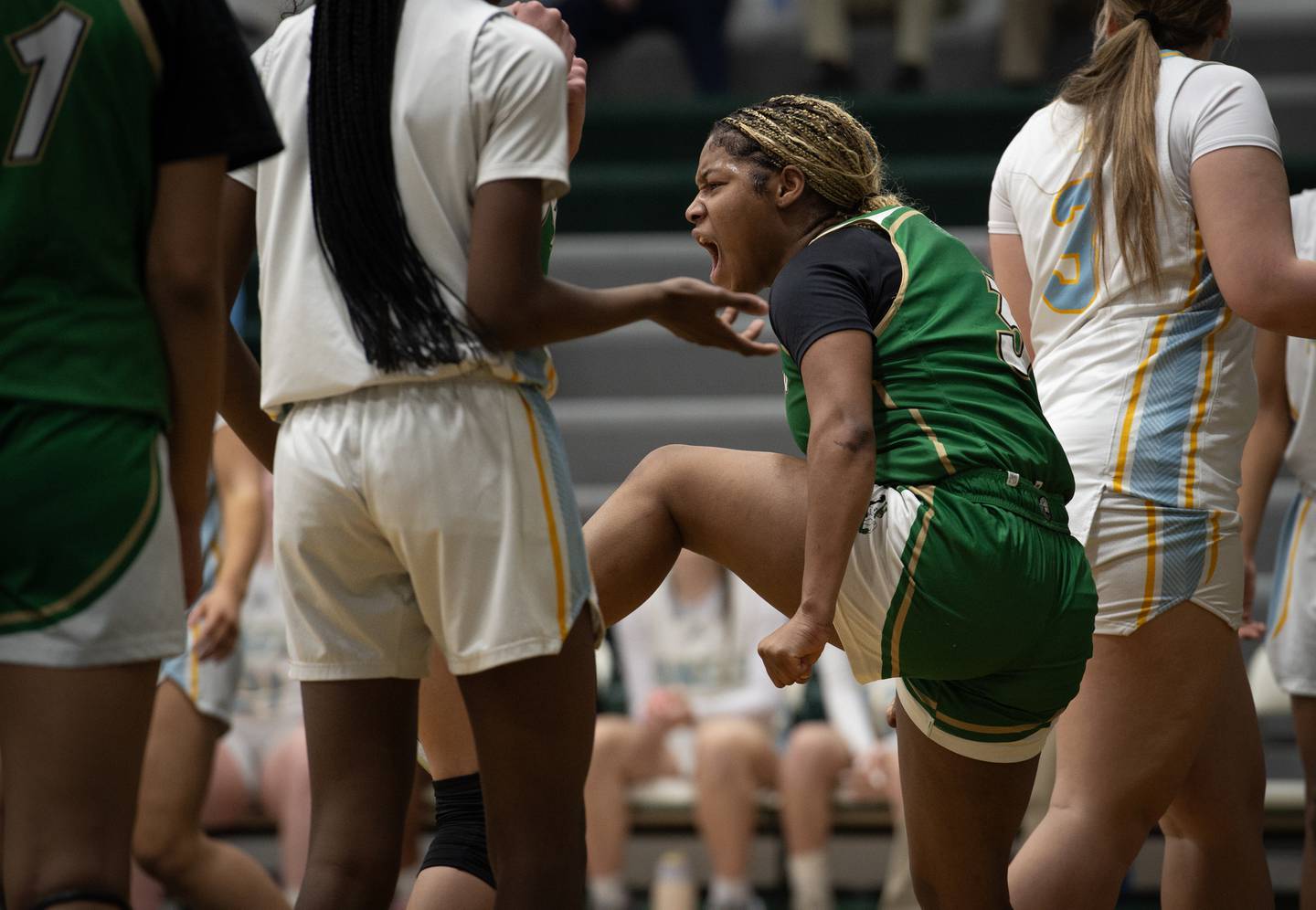 Bishop McNamara's Eliana Isom, center, reacts after being fouled during the Class 2A Regional Championship against Joliet Catholic on Thursday, Feb. 19, 2026.