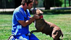 Pawfest Saturday in Huntley