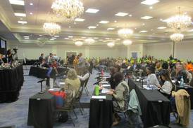 Will County Board, under court order, approves solar projects