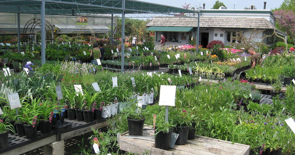 Wasco Nursery named revolutionary garden center Shaw Local