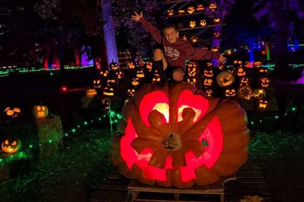 Jack O’Lantern World returns to Lake Zurich Sept. 26; second location opening in Lemont