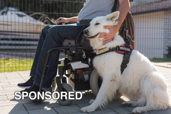 Five Things To Know For National Service Dog Month