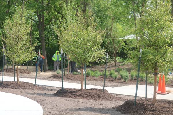 Peace Park could open in DeKalb this fall
