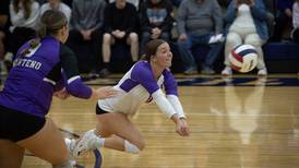 Manteno, Beecher have seasons come to an end in sectional semis