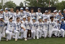 Making third straight state appearance, Newman finishes fourth for second year in a row