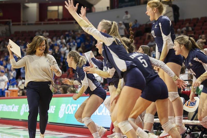The IC Catholic bench celebrates their three set win Friday, Nov. 11, 2022 during a class 2A semifinal volleyball game Friday, Nov. 11, 2022 against Freeburg. The Knights will face Genoa-Kingston in the championship game.