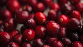 Down the Garden Path: Spice up your November with cranberries